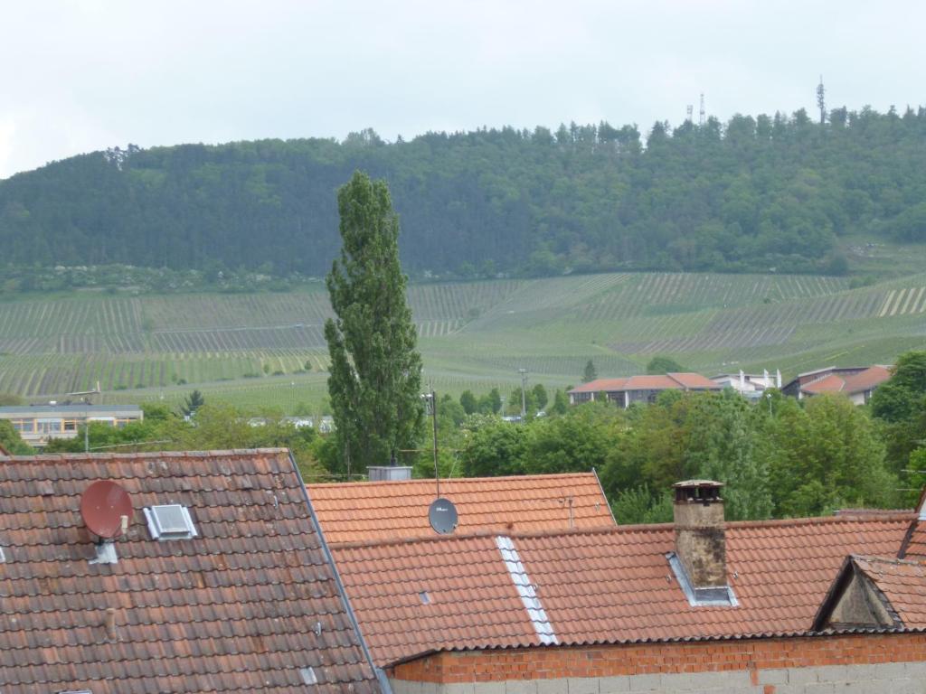 Hotel Garni Zum Hirschen Iphofen Buitenkant foto